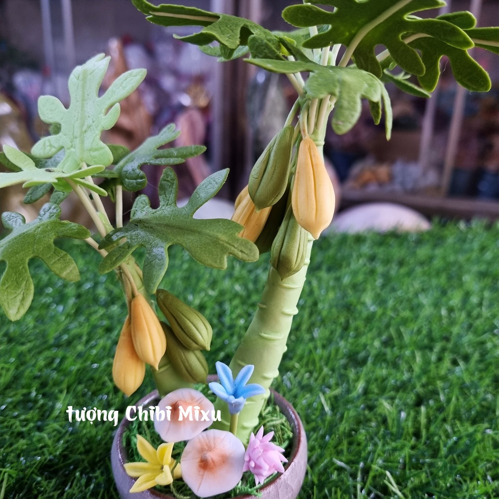Chậu cây đu đủ 16cm bằng đất sét Nhật - tác dụng chiêu tài