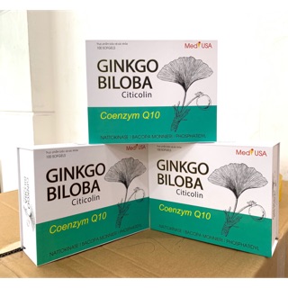 Ginkgo Biloba Giúp hoạt huyết dưỡng não, bền thành mạch mẫu mới đẹp