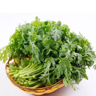 Hạt giống Cải Cúc Tẻ - Rau Tần ô