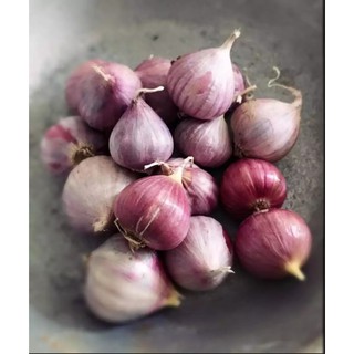1kg tỏi cô đơn PHAN RANG
