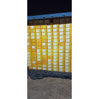 Nho khô Ấn Độ 100g