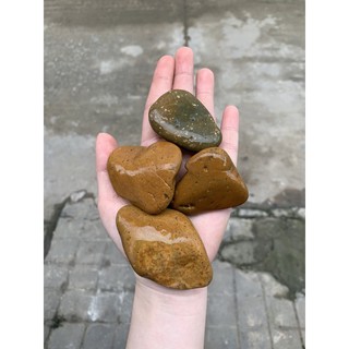 ĐÁ CUỘI VÀNG KỲ LƯNG, ĐÁ TẮM TẨY da chết,  DÙNG TRANG TRÍ HỒ CÁ 500gram ]