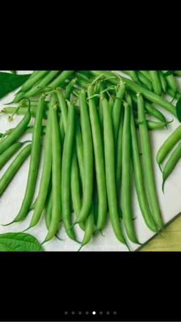 Hạt giống đậu côve leo hạt đen- gói 50gr