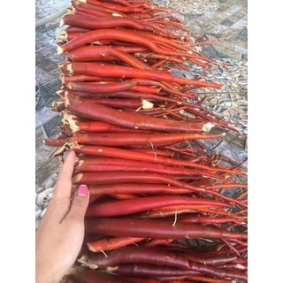 Sâm cau đỏ Tây Bắc xô 1kg