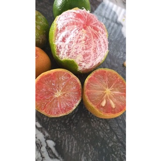 Bầu đất chanh đào ruột đỏ