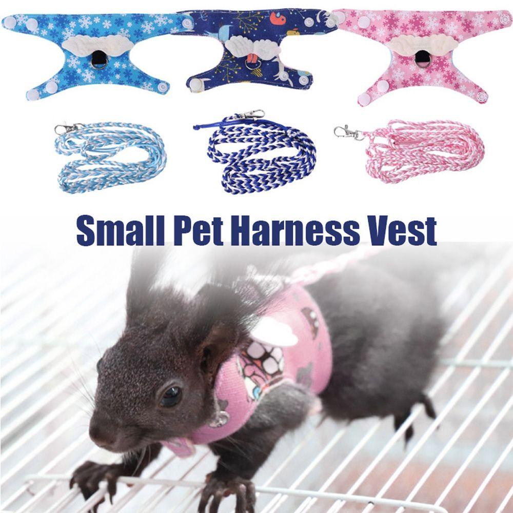 Dây Nylon Dắt Chuột Hamster Đi Dạo Điều Chỉnh Tùy Ý