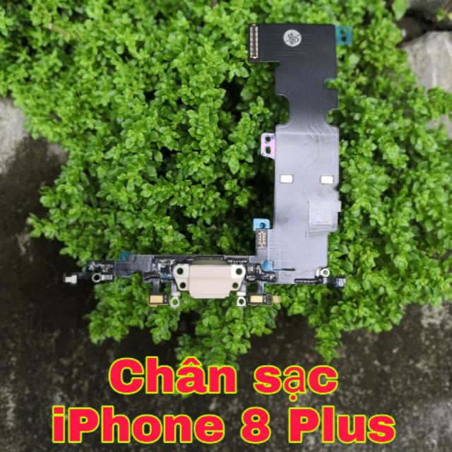 Cáp chân sạc IP8 Plus 8plus zin