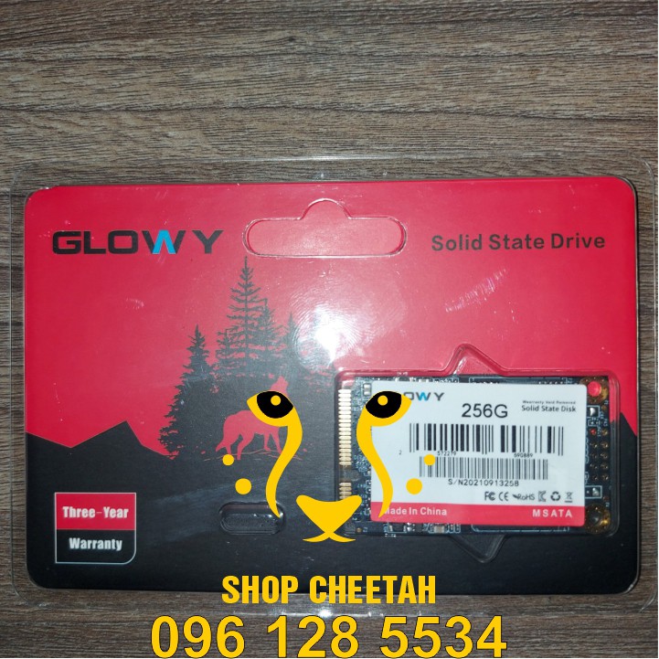 Ổ cứng SSD mSATA Gloway 256GB (Sata3.0) – CHÍNH HÃNG – Bảo hành 3 năm