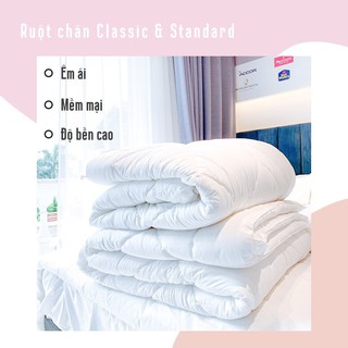 ruột chăn EVERON 160*200 và 180*200