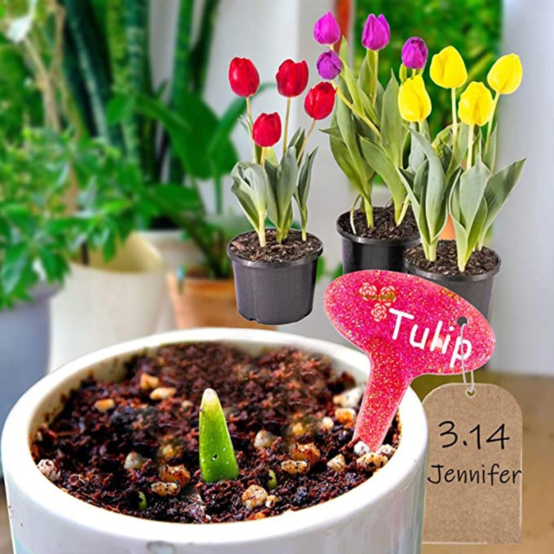 Khuôn Làm Nhãn Chậu Cây Nhiều Kiểu Dáng Dễ Thương