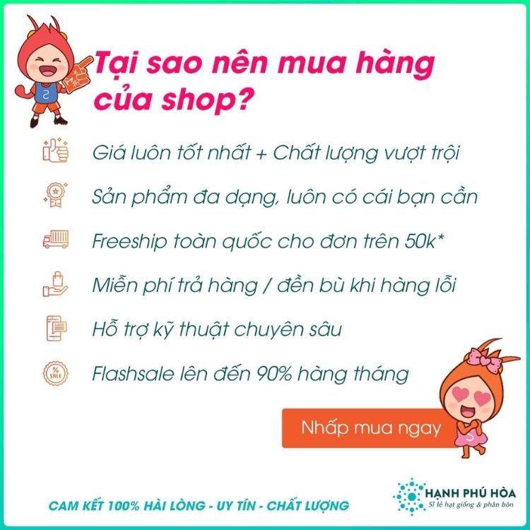 Hạt Giống Cải Ngọt Champion Hai Mũi Tên Đỏ 50g/ Gói - Cây sinh trưởng khoẻ, Năng suất cao, Dễ trồng, Cọng xanh