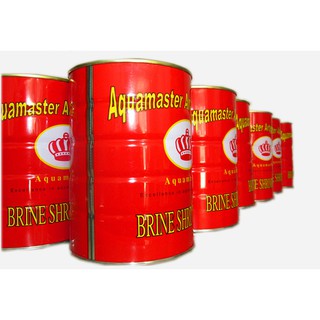 Trứng Artemia ấp nở