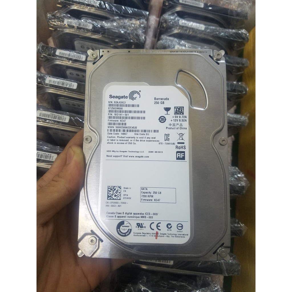 Ổ CỨNG HDD 250G WD BLUE 2ND