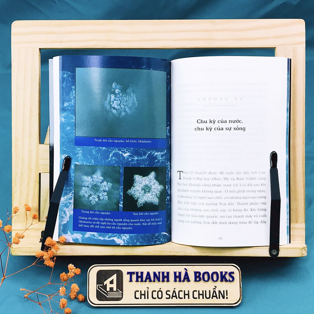 Sách - Bí Mật Của Nước (Tái Bản) - Thanh Hà Books