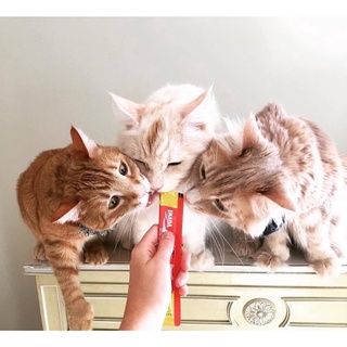 Súp thưởng Ciao Churu cho mèo 😻