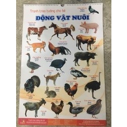 BỘ TRANH TREO TƯỜNG VỀ THẾ GIỚI XUNG QUANH 14 CHỦ ĐỀ IN 2 MẶT