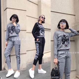 Combo set thể thao