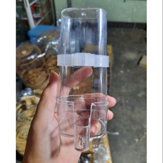 Cóng đựng nước, đựng thức ăn cho chim