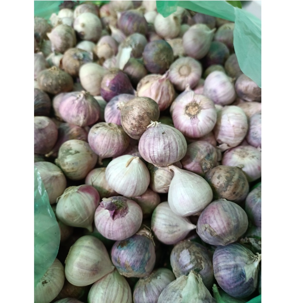 Tỏi một tép 3kg loại 1 Việt Nam, tỏi một nhánh đã chọn lọc