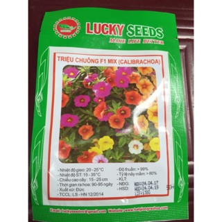 Hạt giống hoa triệu chuông