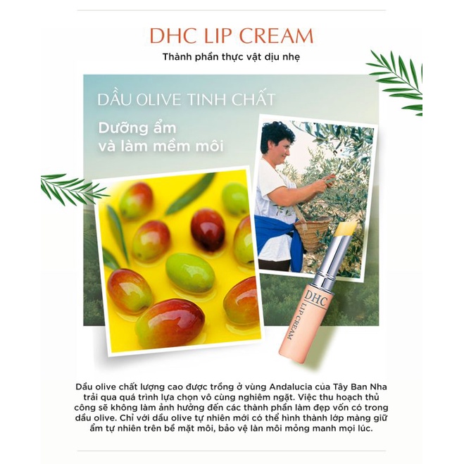 Son dưỡng môi DHC Lip Cream 1,5g của Nhật giúp môi trở nên mềm mại, mịn màng, với dưỡng chất collagen, vitamin E dưỡng môi tri thâm môi mềm mại