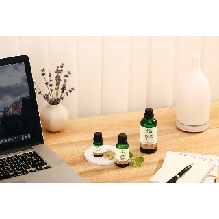 Combo 2 chai Tinh dầu Java & Tinh dầu Quế 24Care - (10ml/chai)