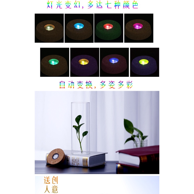 Lọ Hoa Thủy Tinh Trong Suốt Có Nút Bần Và Đèn LED Phát Sáng Độc Đáo