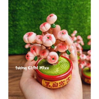 Chậu cây quả chibi dễ thương 10cm