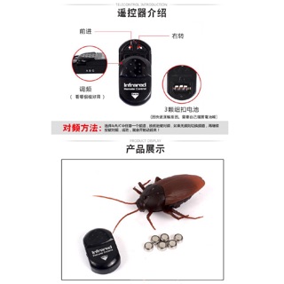 Gián Điều Khiển Từ Xa