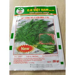 DEAL1K-100 hạt thì là bốn mùa