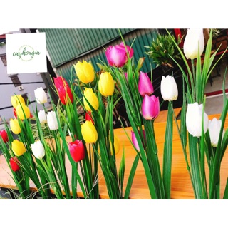 Hoa Giả - Chùm Tulip 5 bông Trồng Hàng Rào Ban Công decor