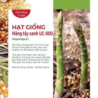 Combo 3Gói Hạt Giống Măng Tây Xanh UC800