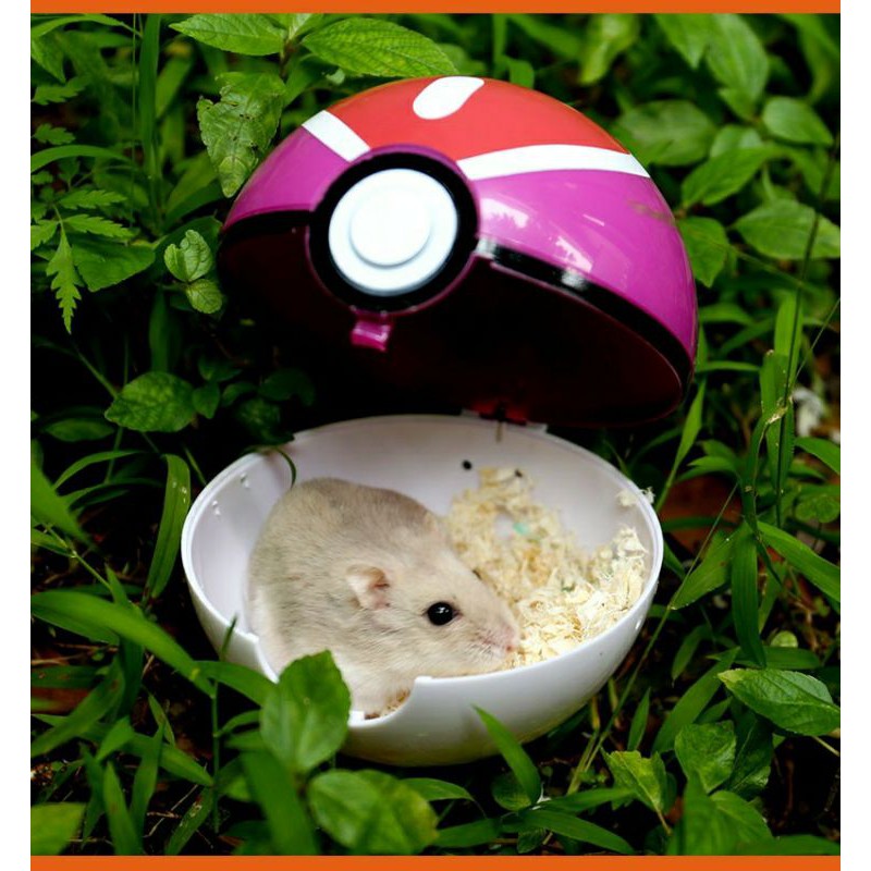 Bóng pokemon takeaway(Hamsters)