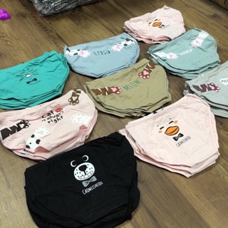 Combo 10 Quần Lót Cute