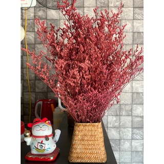 Bó Hoa Đuôi Công thật sấy khô decor