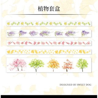 Set 5 cuộn băng dán washi tape