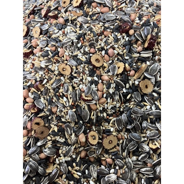 1KG Hạt Trộn Vẹt Trung Và Lớn Xích , Xám , Sun , greencheeck , ringneck , Monk , Lory và các dòng cùng Size