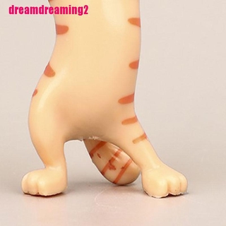 Mèo Nhảy Múa Vui Nhộn