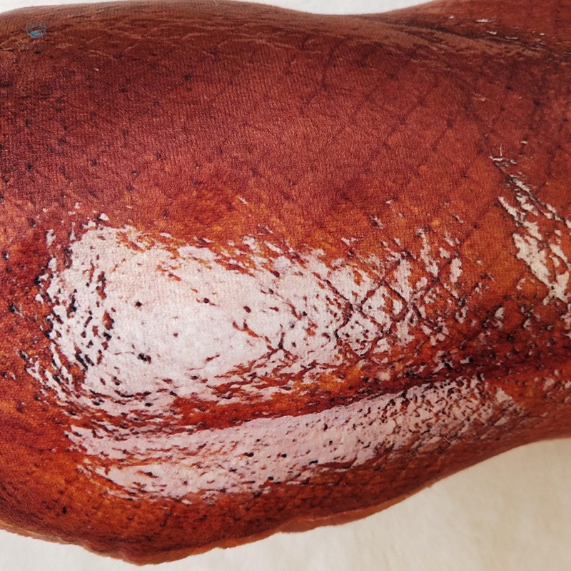 Gối Ôm Mềm Mại Hình Búp Bê Thức Ăn Có Thể Tháo Rời Và Giặt Sạch Cho Phòng Khách / Phòng Ngủ