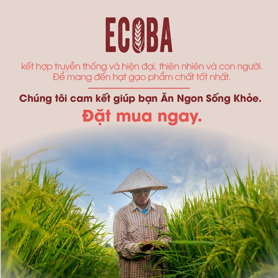 Gạo lứt đỏ hữu cơ/ Ecoba Huyết Rồng 1kg - Combo 3 hộp (tổng 3kg)