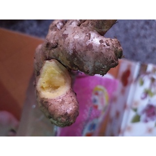 Củ gừng tươi 1kg.