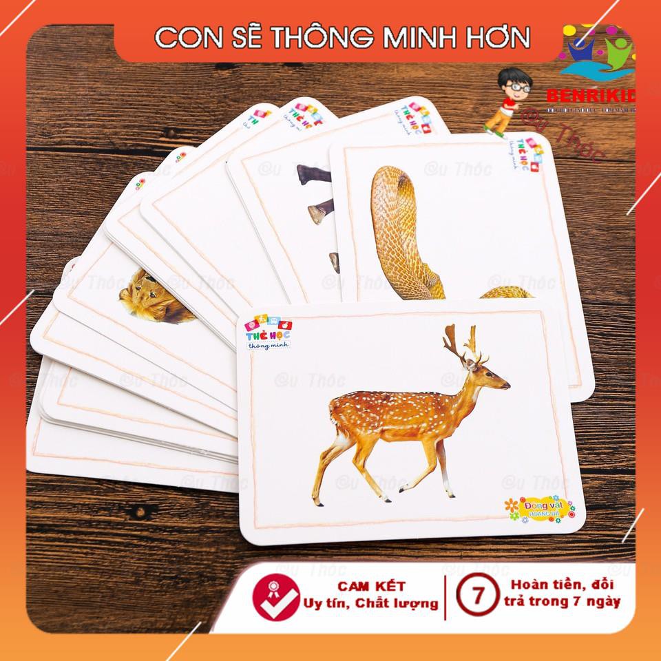 Thẻ học thông minh song ngữ Anh-Việt, Flashcard chủ đề động vật nuôi cho bé - SHOP CU BIN