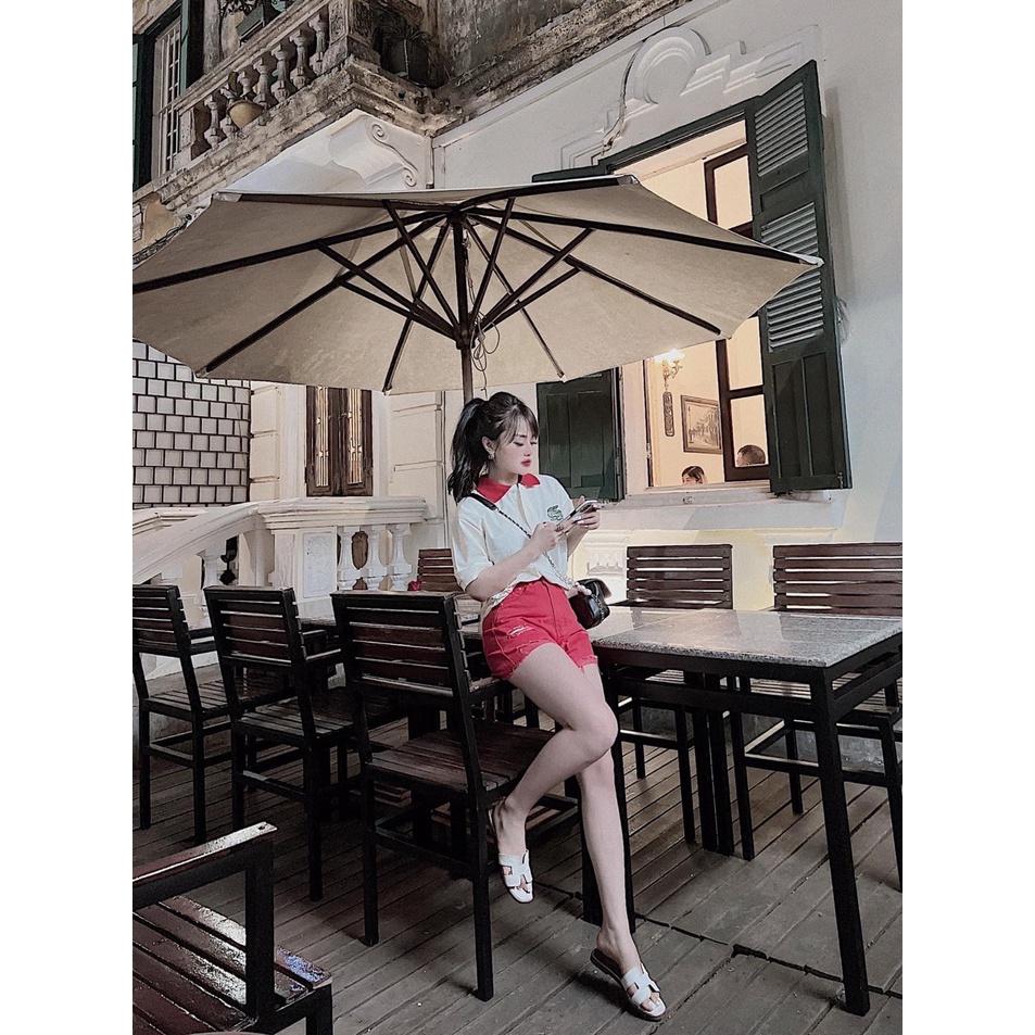 Set áo polo cá sấu mix quần short đùi đỏ DN988