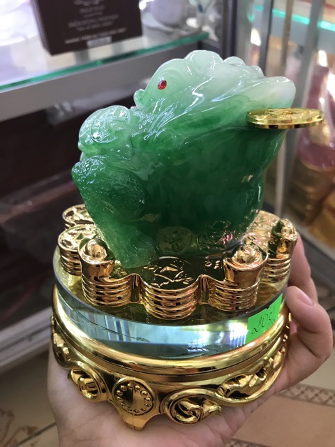 Ông cóc ngậm tiền đế xoay