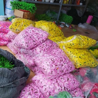 1kg cánh hoa đào