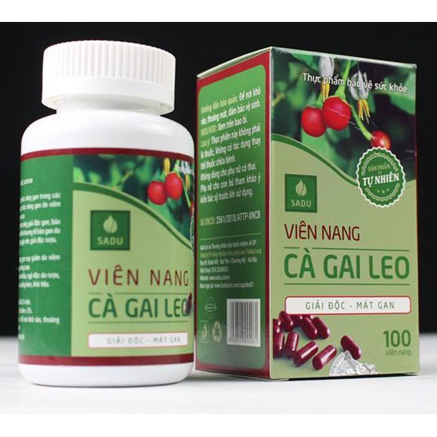 cà gai leo sadu dạng viên nang - hỗ trợ và bảo vệ lá gan của bạn hàng ngày