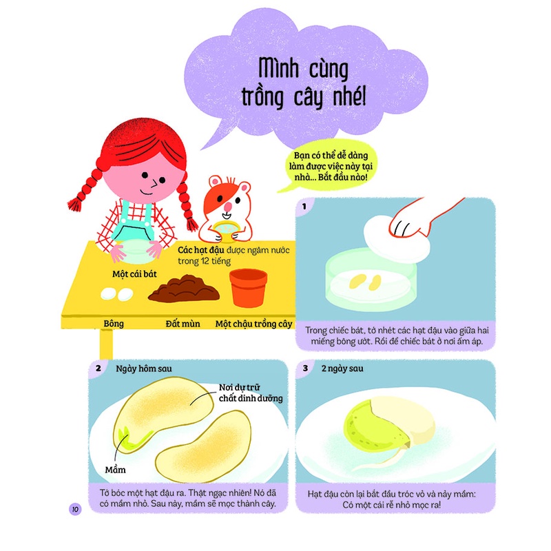 Sách - Khám phá đầu tiên của tớ về thiên nhiên - Dành cho bé từ 2 tuổi trở lên
