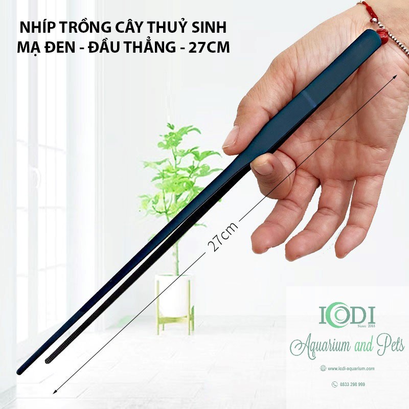 Nhíp trồng cây cho bể thủy sinh
