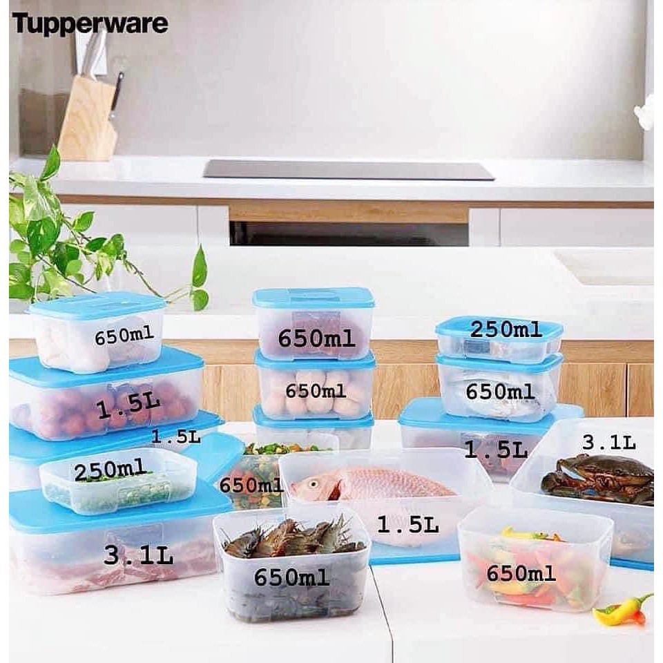 Bộ trữ đông 16 / fit set 7 / 8 hộp tách đông 16 / 6 hộp đông 650ml tupperware