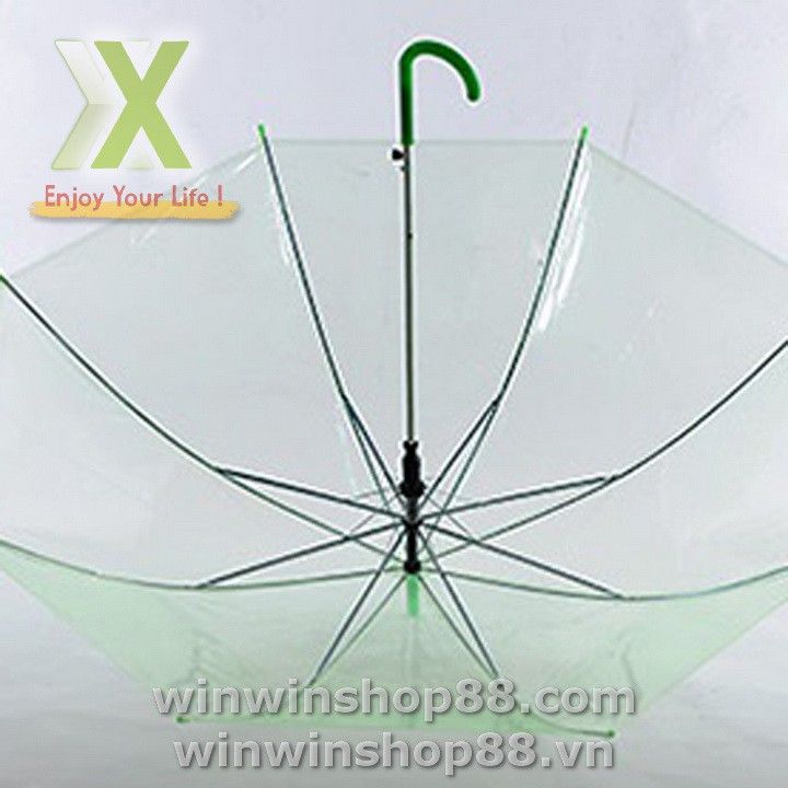 Dù trong suốt đi mưa cây lớn 75CM x 90CM Nhật Bản XANH LÁ ô đi mưa ô chụp hình phong cách phim ngôn tình hàn quốc Asam